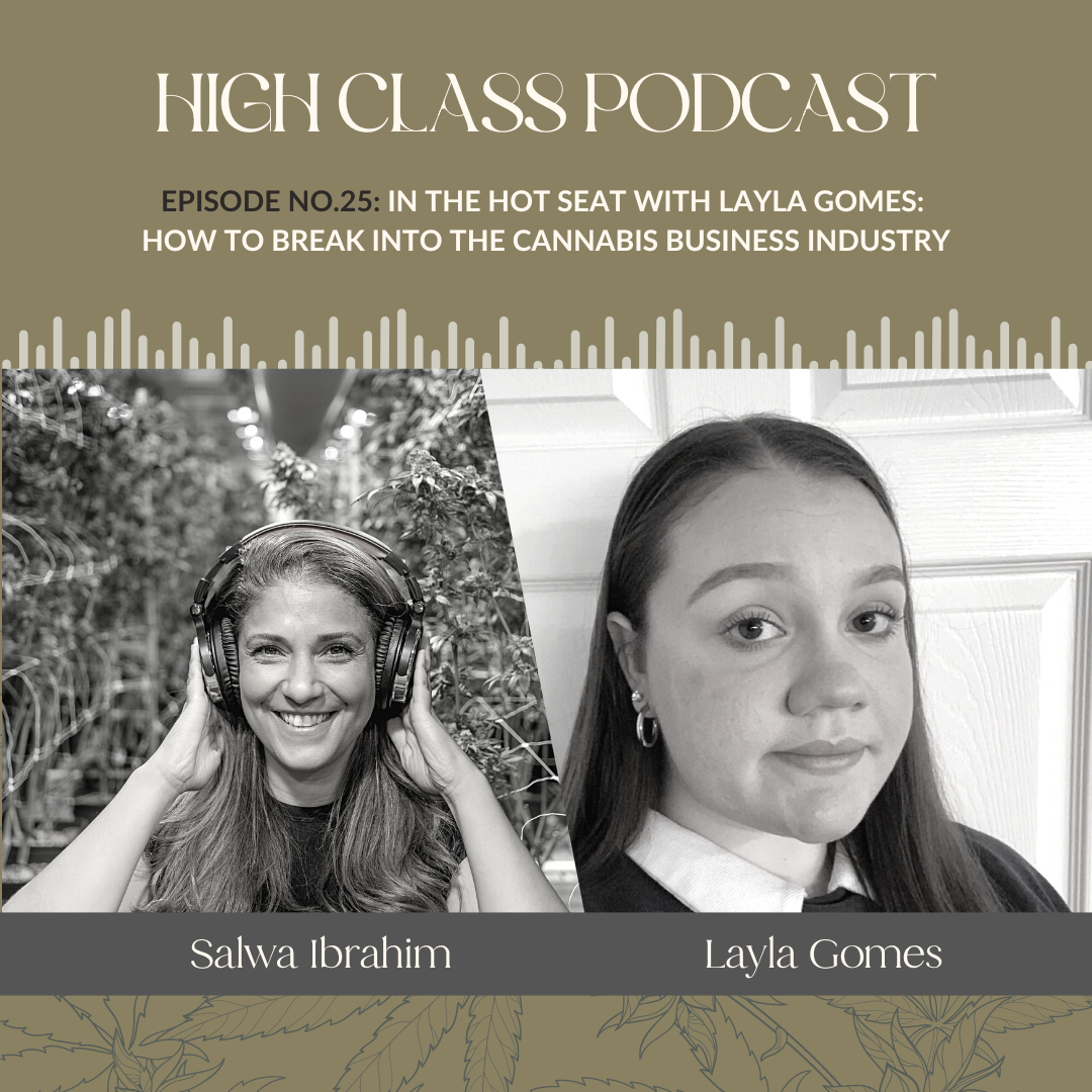 In the Hot Seat with Layla Gomes: How to Break into the Cannabis Industry